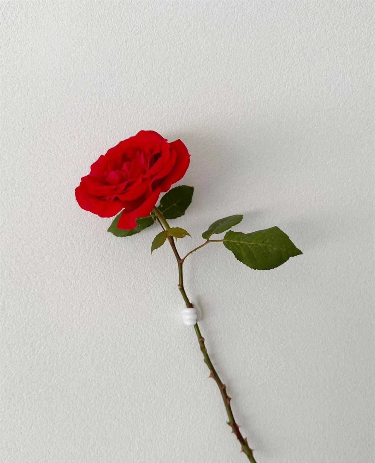 环保涂料选芳庭，绿色健康有保证