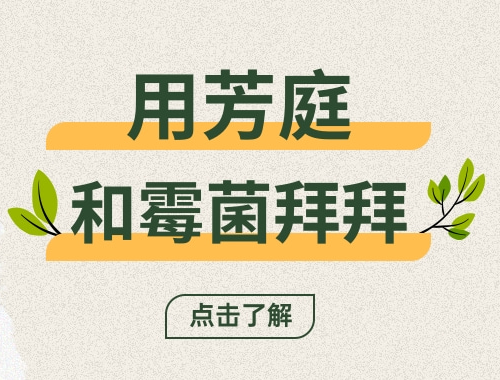 告别阳台墙面发霉掉皮，芳庭还你一个治愈系空间